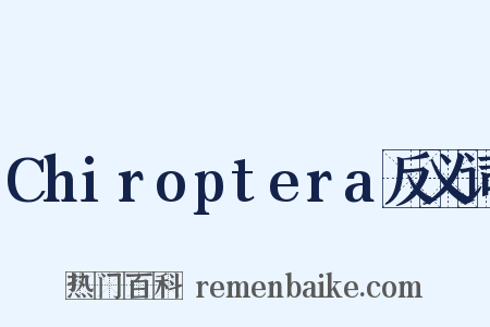 Chiroptera反义词是什么意思的图片